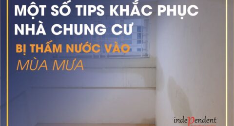 Tips khắc phục nhà chung cư bị thấm nước - IPS