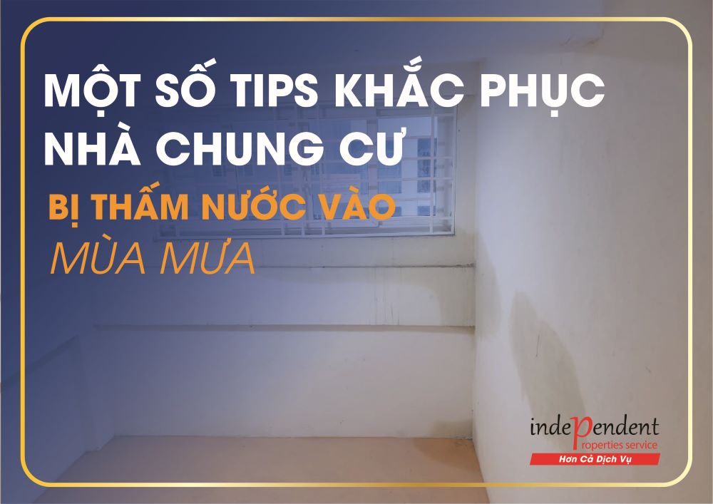 Tips khắc phục nhà chung cư bị thấm nước - IPS